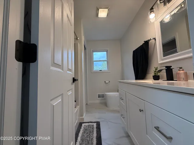 a bathroom with a sink a toilet a mirror and vanity