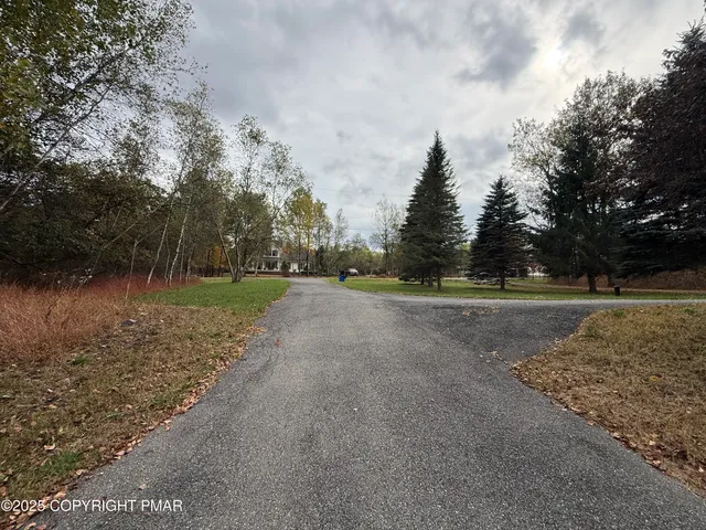 a view of a field with trees in background