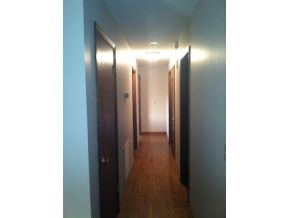 170 Douglas Shed Road Gray, TN 37615 - Photo 12 of 24 Hallway with wood floors