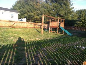 170 Douglas Shed Road Gray, TN 37615 - Photo 22 of 24 Play structure remains