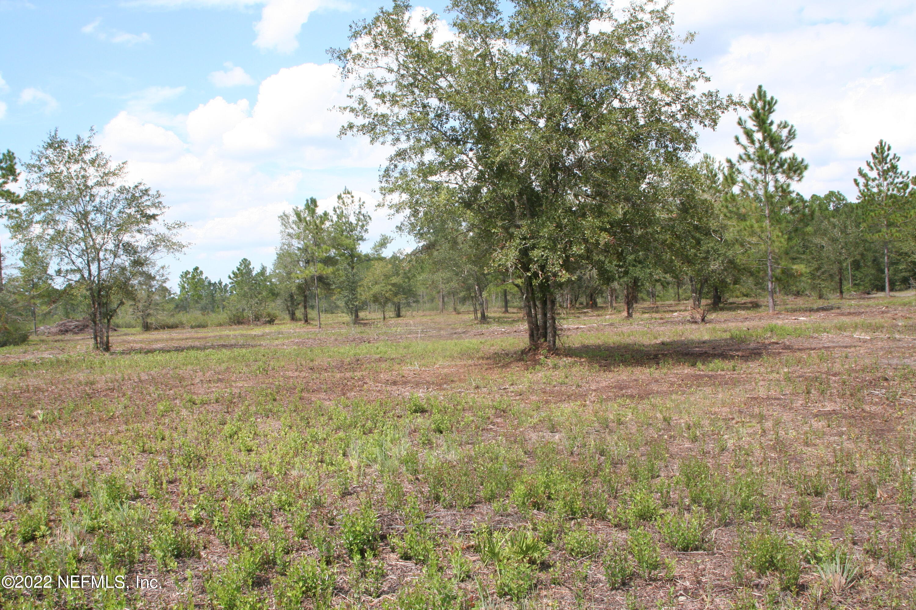 a view of dirt field with trees around