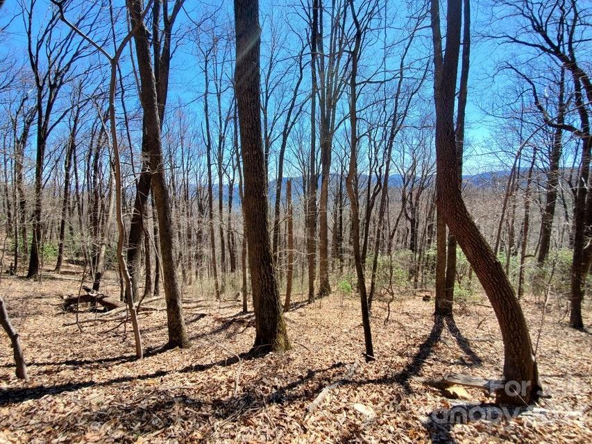 0 Fox Run Road Marion, NC 28752 - Photo 12 of 16 Gallery Image 12