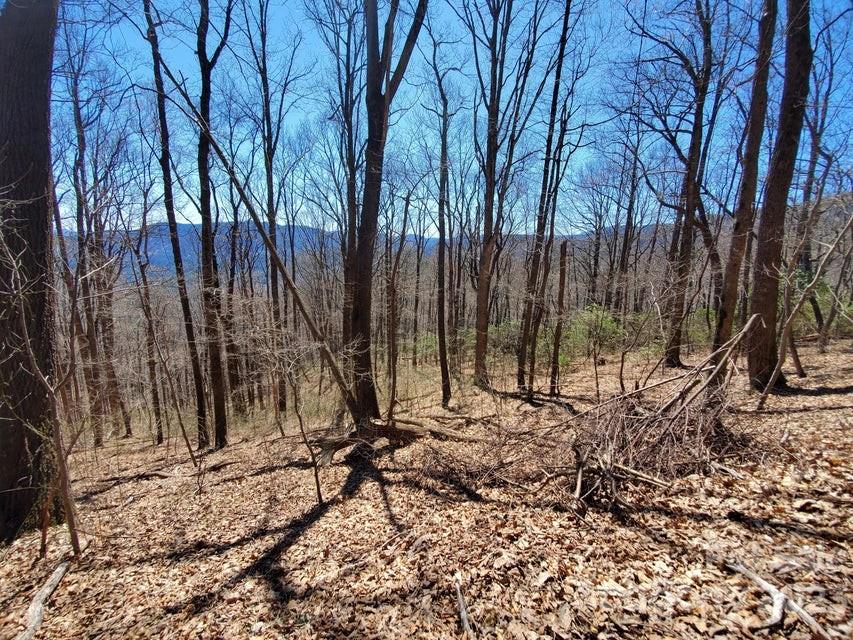 0 Fox Run Road Marion, NC 28752 - Photo 13 of 16 Gallery Image 13