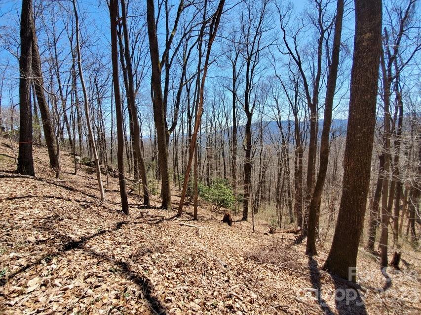 0 Fox Run Road Marion, NC 28752 - Photo 15 of 16 Gallery Image 15