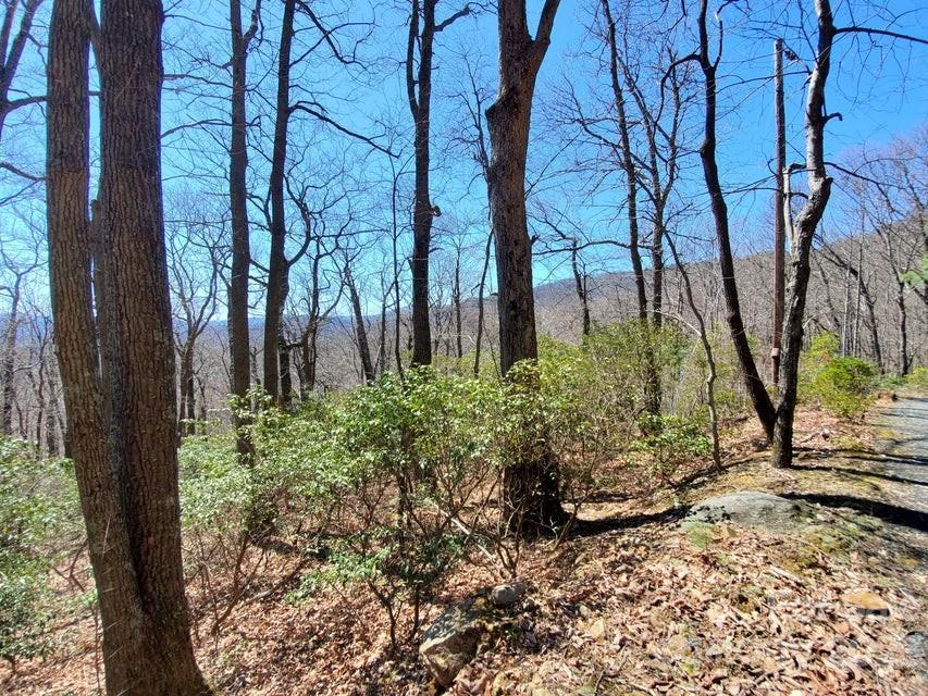 0 Fox Run Road Marion, NC 28752 - Photo 8 of 16 Gallery Image 8