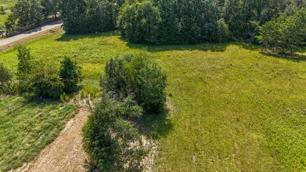 0 Main Street Headland, AL 36345 - Photo 4 of 12
