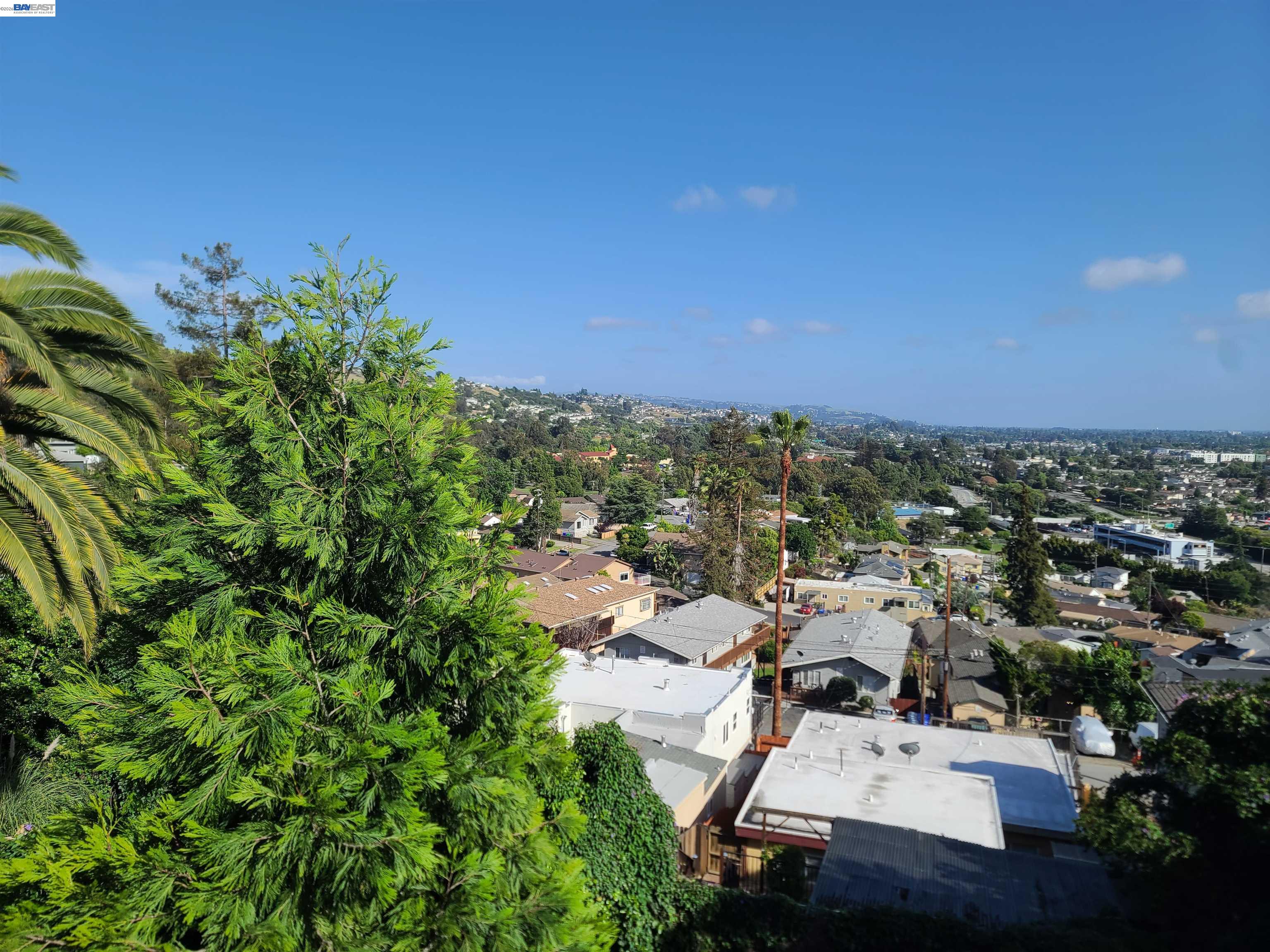 2091 Altamont Road Castro Valley, CA 94578 - Photo 4 of 64