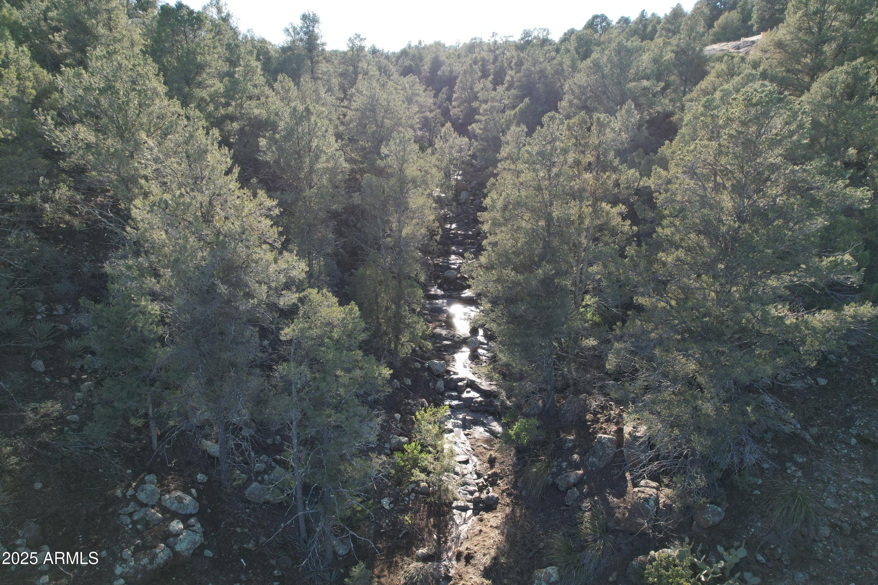 0 North Forest Rd Lake Globe, AZ 85501 - Photo 11 of 19
