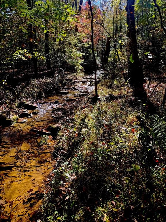 681 Mullinax Road Jasper, GA 30143 - Photo 34 of 36