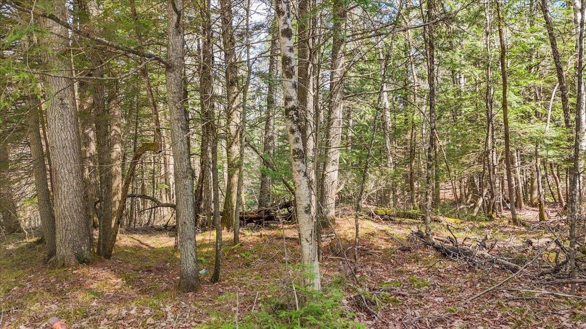 0 East Hill Road East Montpelier, VT 05651 - Photo 6 of 10