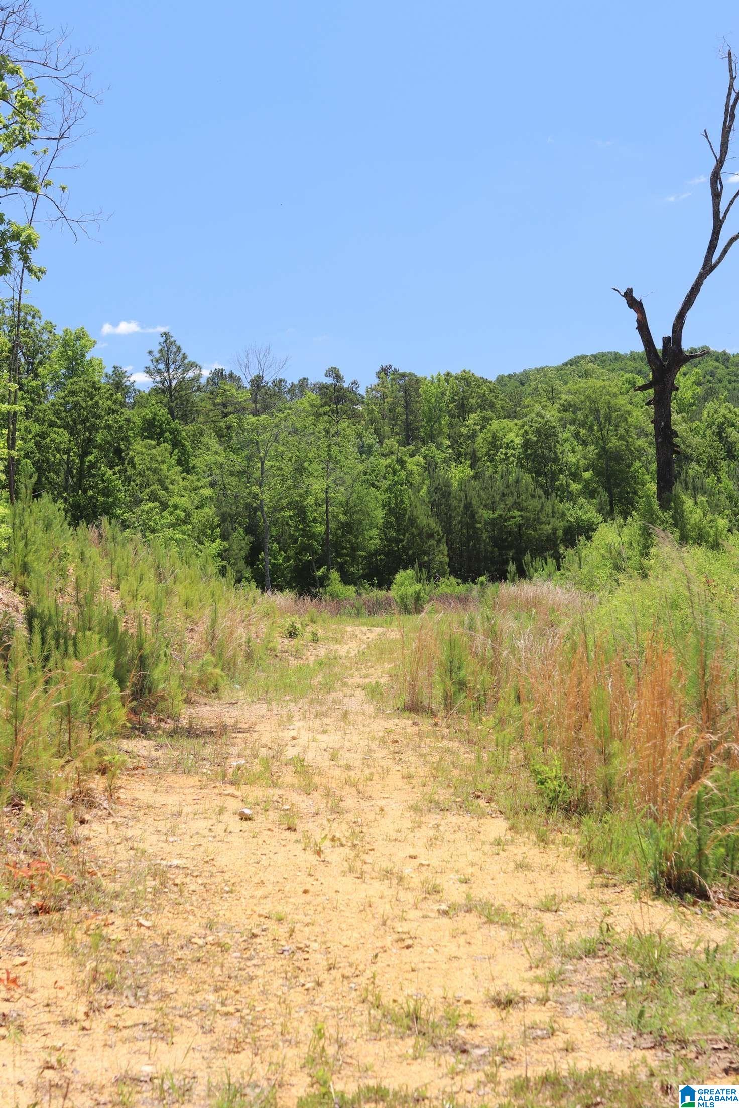 2930 Shocco Springs Road Talladega, AL 35160 - Photo 44 of 93
