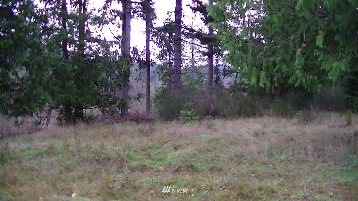 11816 Havekost Road Anacortes, WA 98221 - Photo 6 of 7 Gallery Image 6