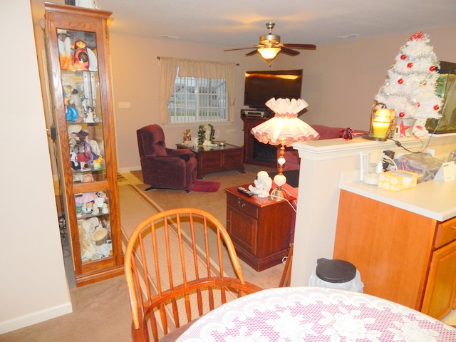 205 West Spring Street, Unit B Bluffton, IN 46714 - Photo 9 of 16 Gallery Image 9