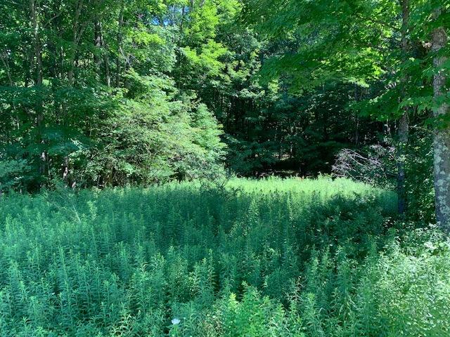 0 Horton Brook Road Roscoe, NY 12776 - Photo 1 of 1 Gallery Image 1