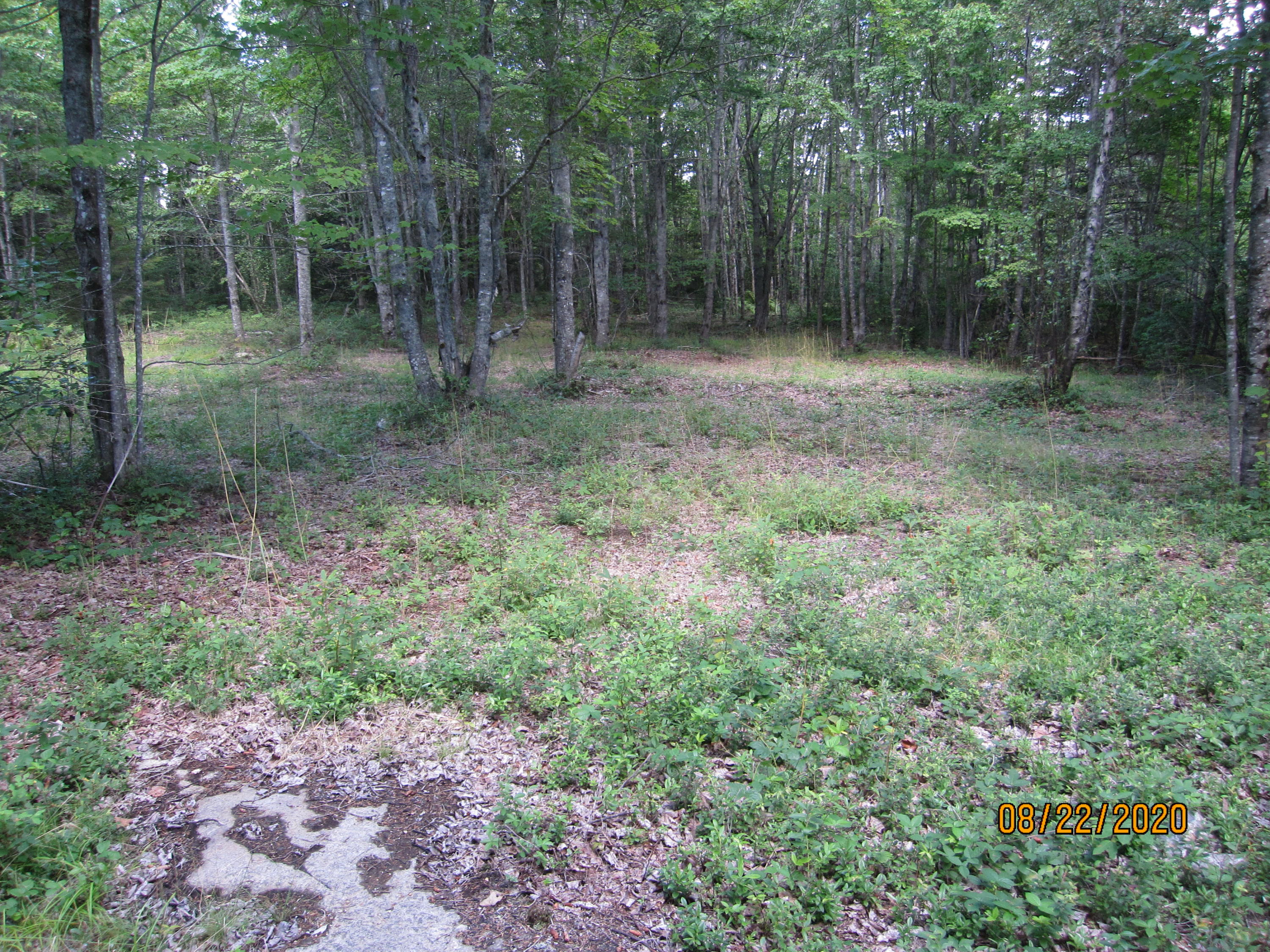 0 Lamson Brook Addison, ME 04606 - Photo 18 of 21 IMG_6091 - Copy