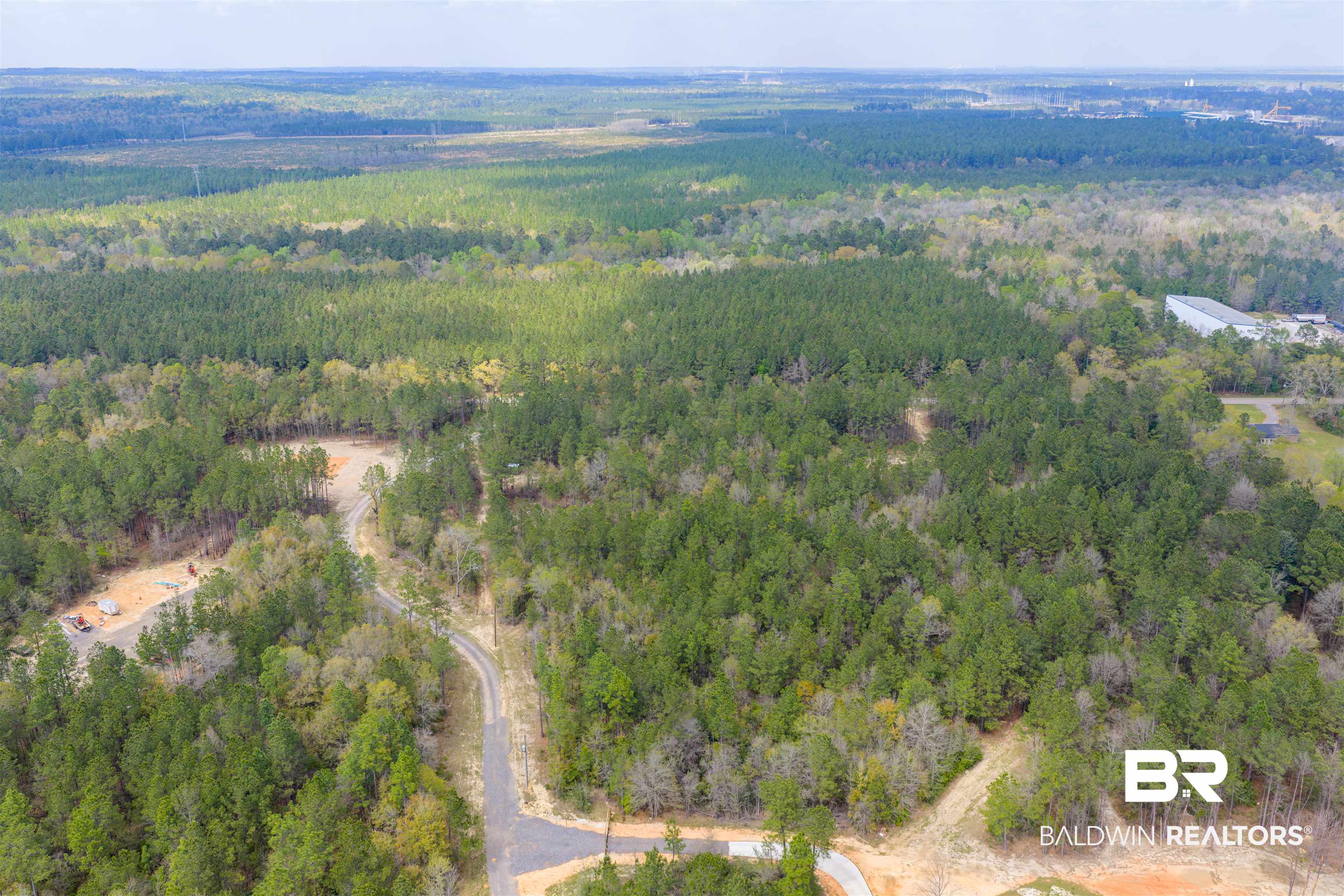 0 Salco Road Axis, AL 36505 - Photo 5 of 24 Bird's eye view of a forest
