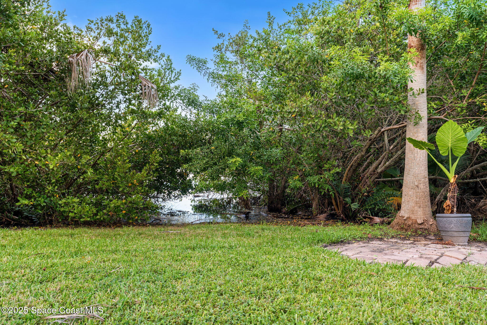 821 Del Rio Way, Unit 401 Merritt Island, FL 32953 - Photo 43 of 53 50-web-or-mls-DSC01284