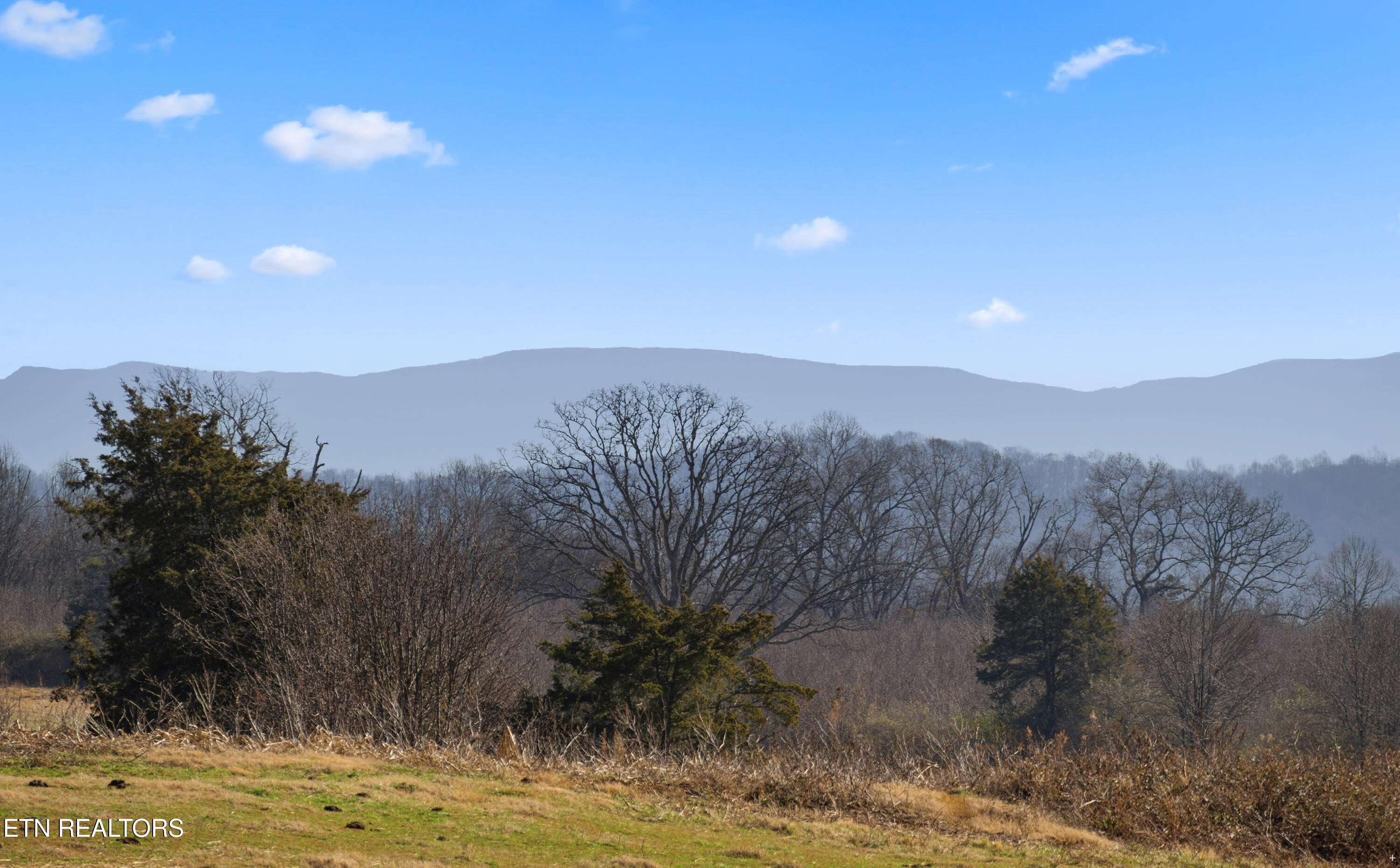 251 Glenlock Road Sweetwater, TN 37874 - Photo 23 of 37 Mountains