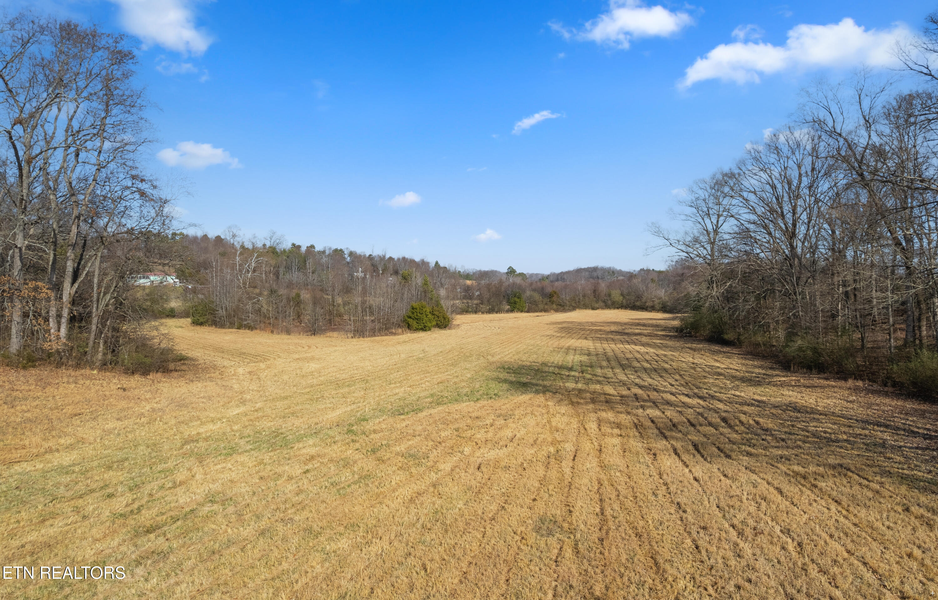251 Glenlock Road Sweetwater, TN 37874 - Photo 31 of 37 Pasture