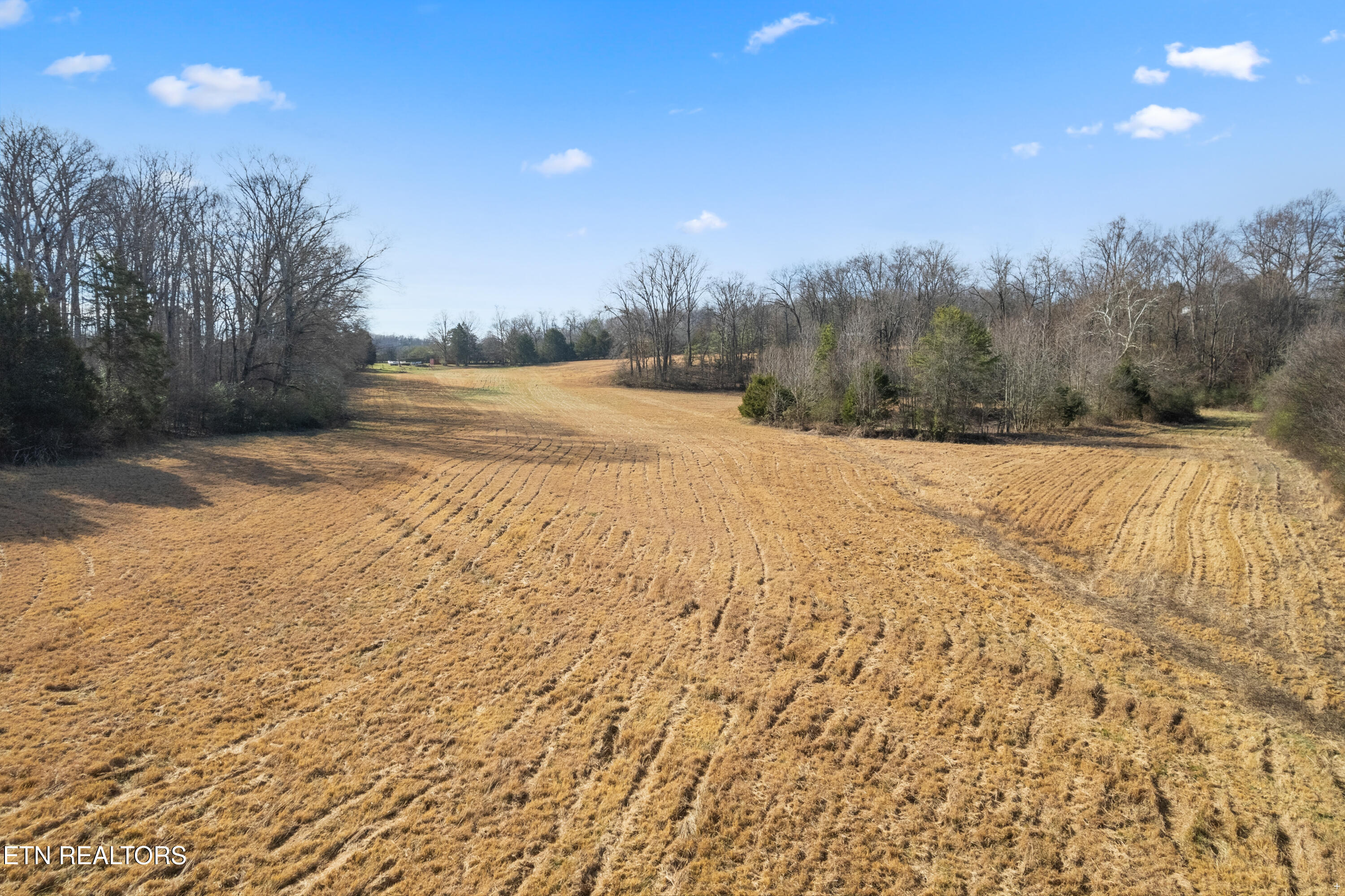 251 Glenlock Road Sweetwater, TN 37874 - Photo 32 of 37 Pasture