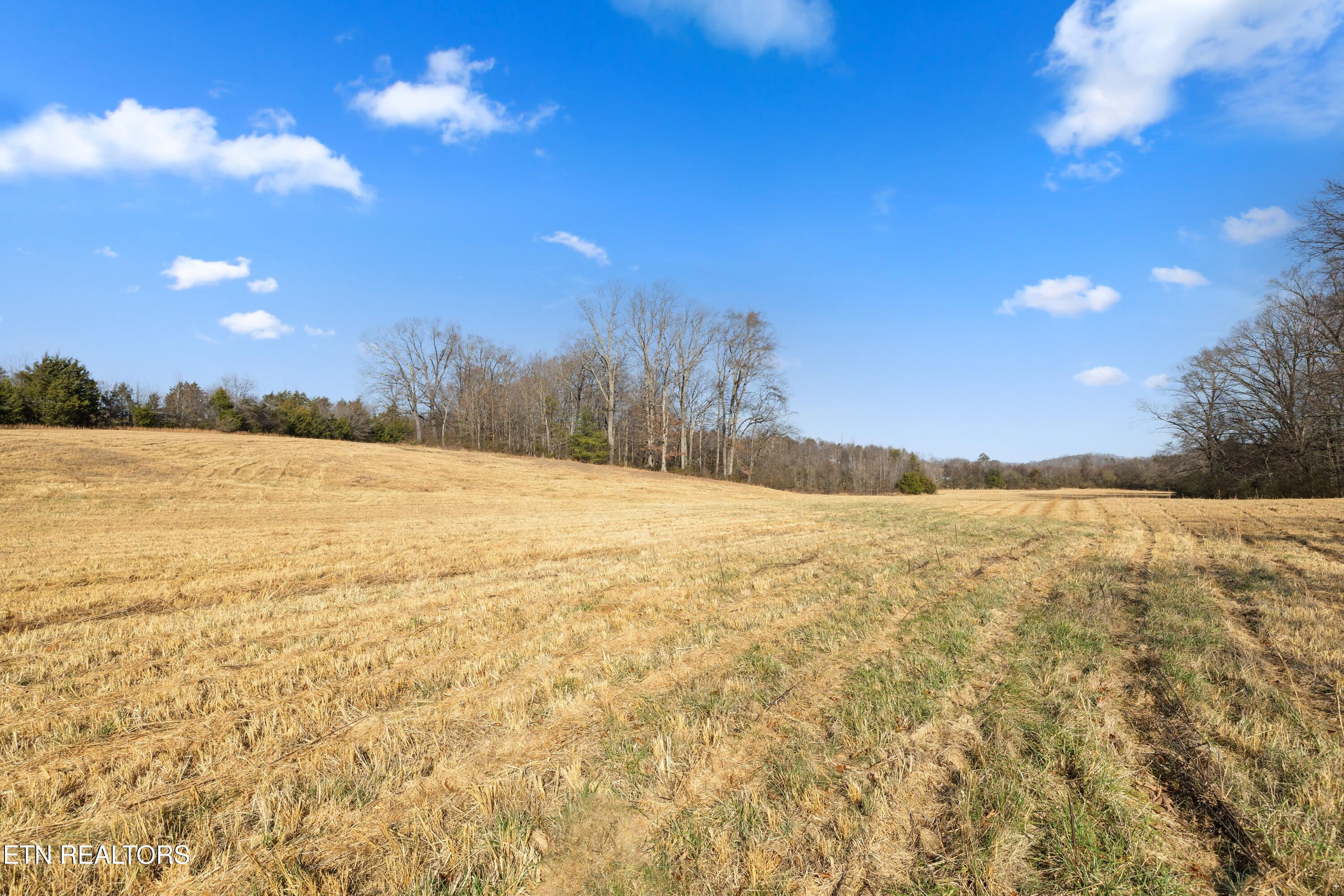 251 Glenlock Road Sweetwater, TN 37874 - Photo 34 of 37 Pasture