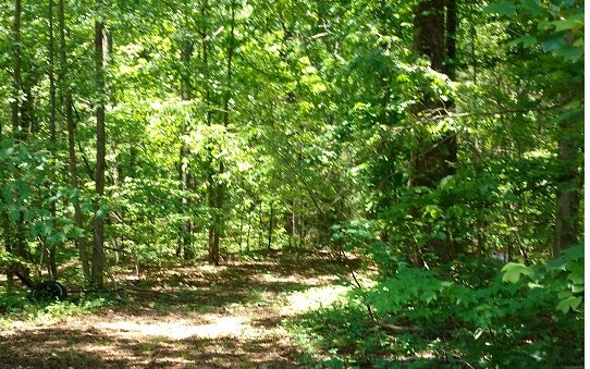 10-ac Talking Rock Road Jasper, GA 30143 - Photo 1 of 1 Main View