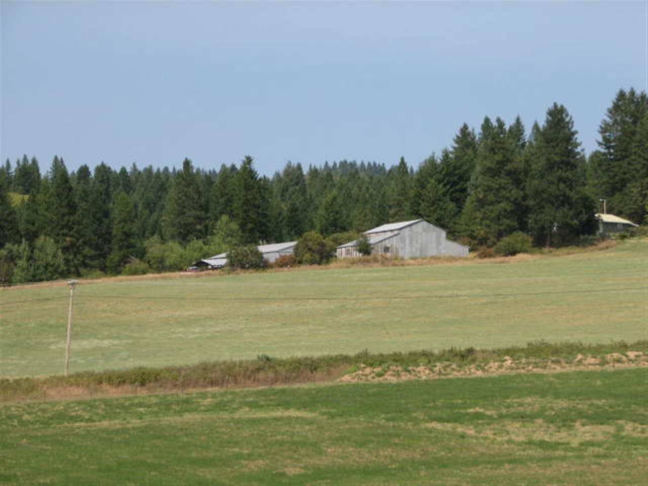 1442 Kirkpatrick Road Elk, WA 99009 - Photo 2 of 20 Gallery Image 2