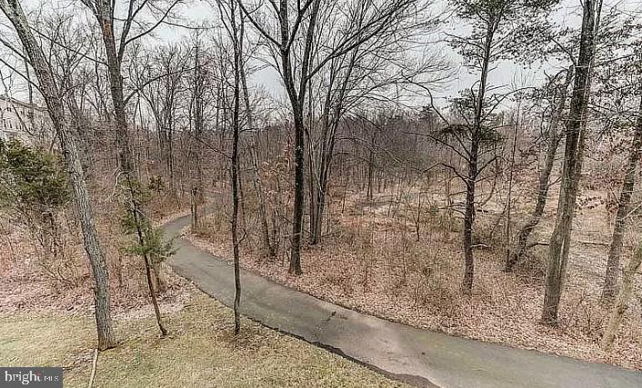 13554 Davinci Lane Herndon, VA 20171 - Photo 14 of 15 Balcony overlooking walking trail and woods