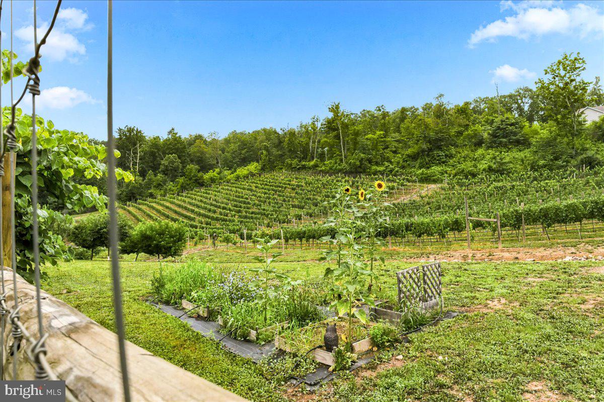 1309 Redland Road Cross Junction, VA 22625 - Photo 79 of 84