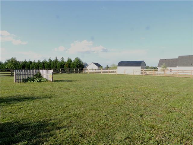 2244 Clara Mathis Road Spring Hill, TN 37174 - Photo 15 of 19 Large back yard great for kids, animals or both!