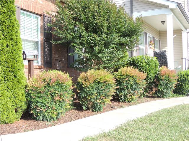 2244 Clara Mathis Road Spring Hill, TN 37174 - Photo 17 of 19 Beautiful landscaping, easy to maintain.