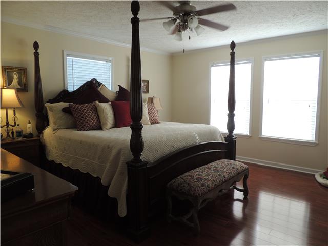2244 Clara Mathis Road Spring Hill, TN 37174 - Photo 7 of 19 Master Bedroom gives you plenty of room even with a king size bed.