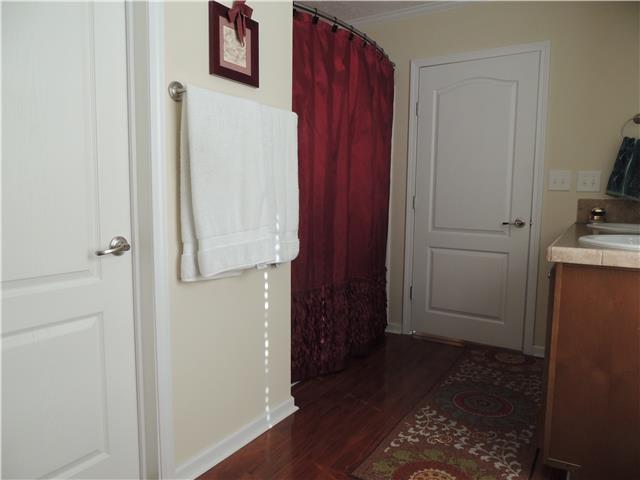 2244 Clara Mathis Road Spring Hill, TN 37174 - Photo 8 of 19 Master Bath with shower/tub combo.
