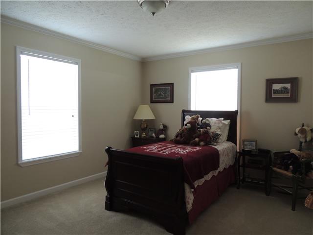 2244 Clara Mathis Road Spring Hill, TN 37174 - Photo 9 of 19 2nd bedroom with nice size closet