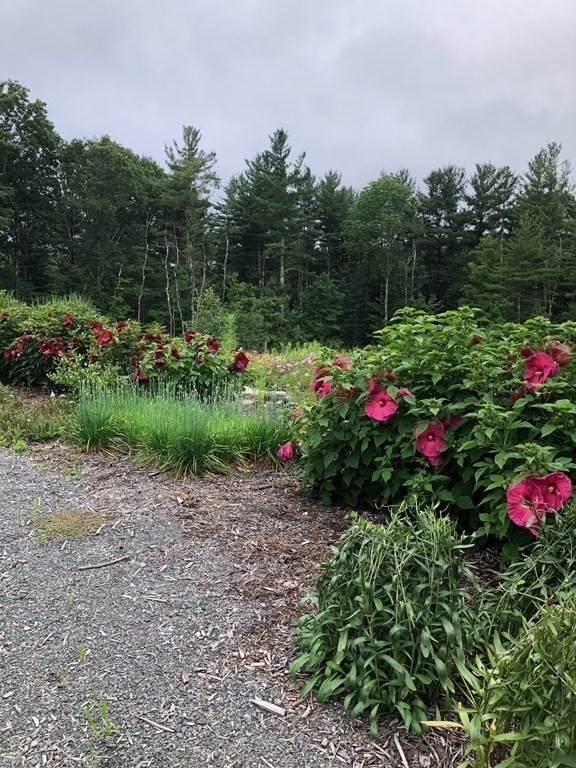 152 Ashfield Road Williamsburg, MA 01096 - Photo 9 of 34