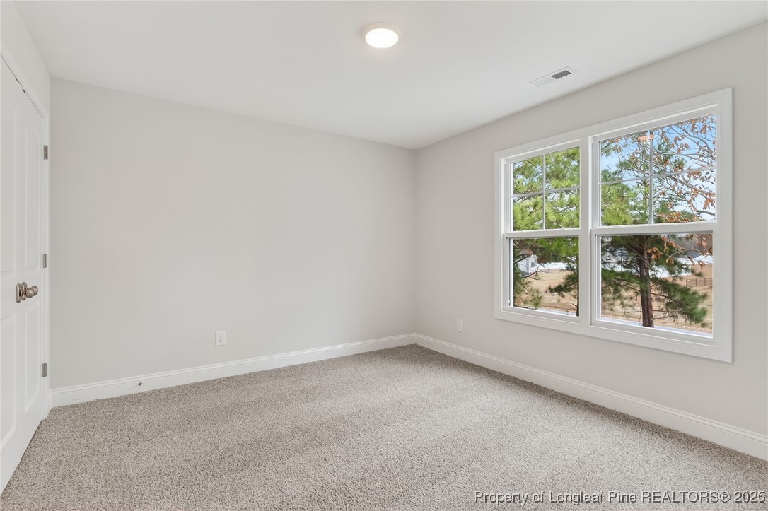 419 Delmore Road Autryville, NC 28318 - Photo 27 of 34 an empty room with a window