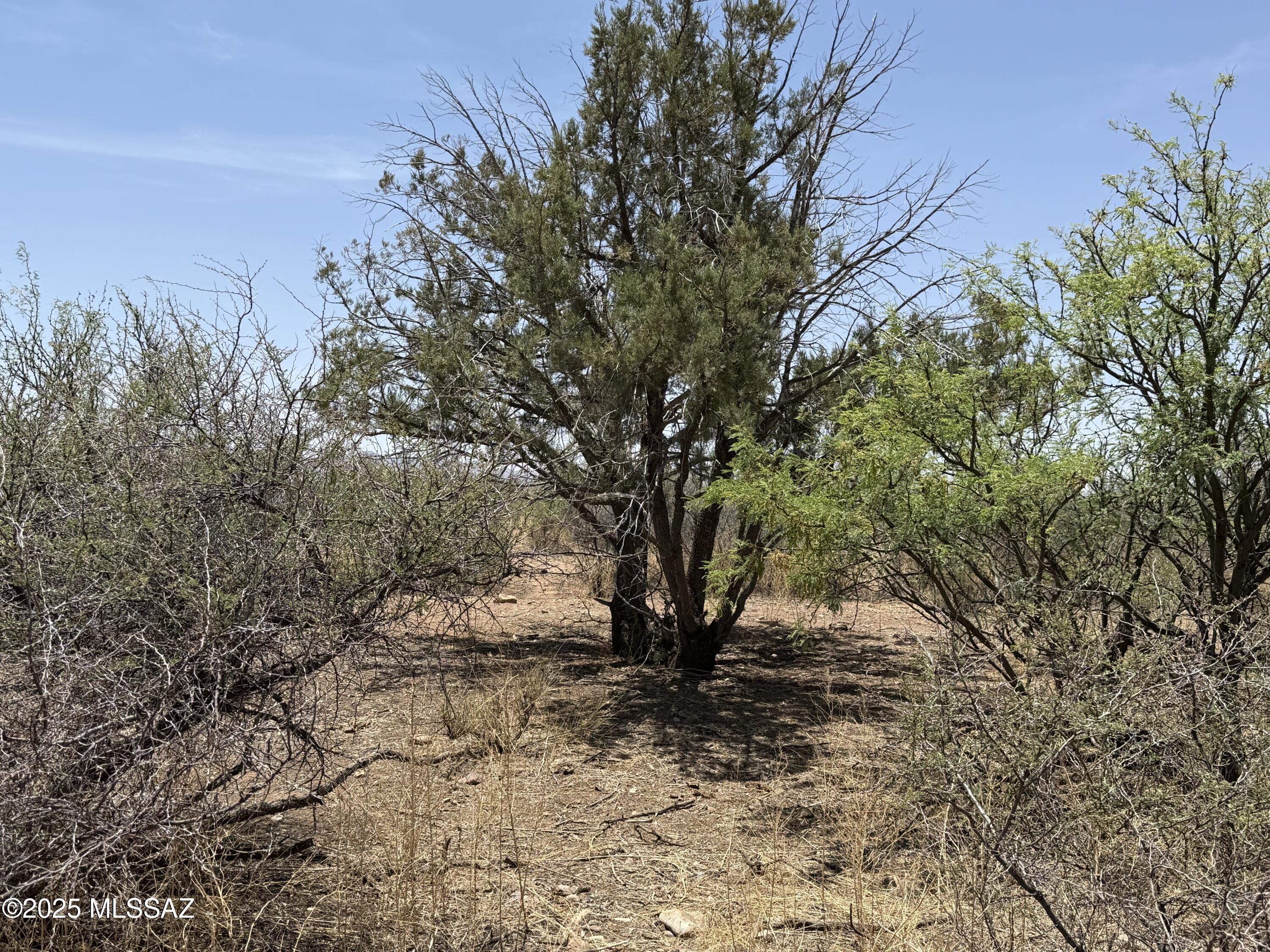 20-ac South Price Ranch Road Pearce, AZ 85625 - Photo 8 of 34