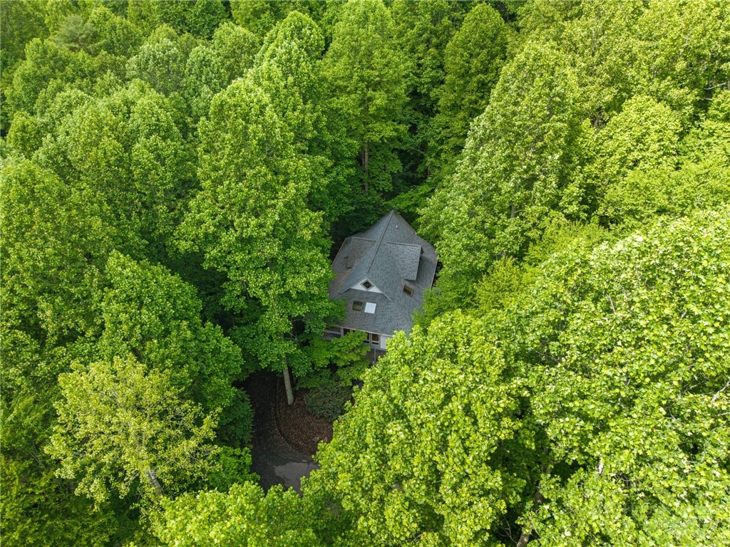 373 The Settlement Boone, NC 28607 - Photo 41 of 45