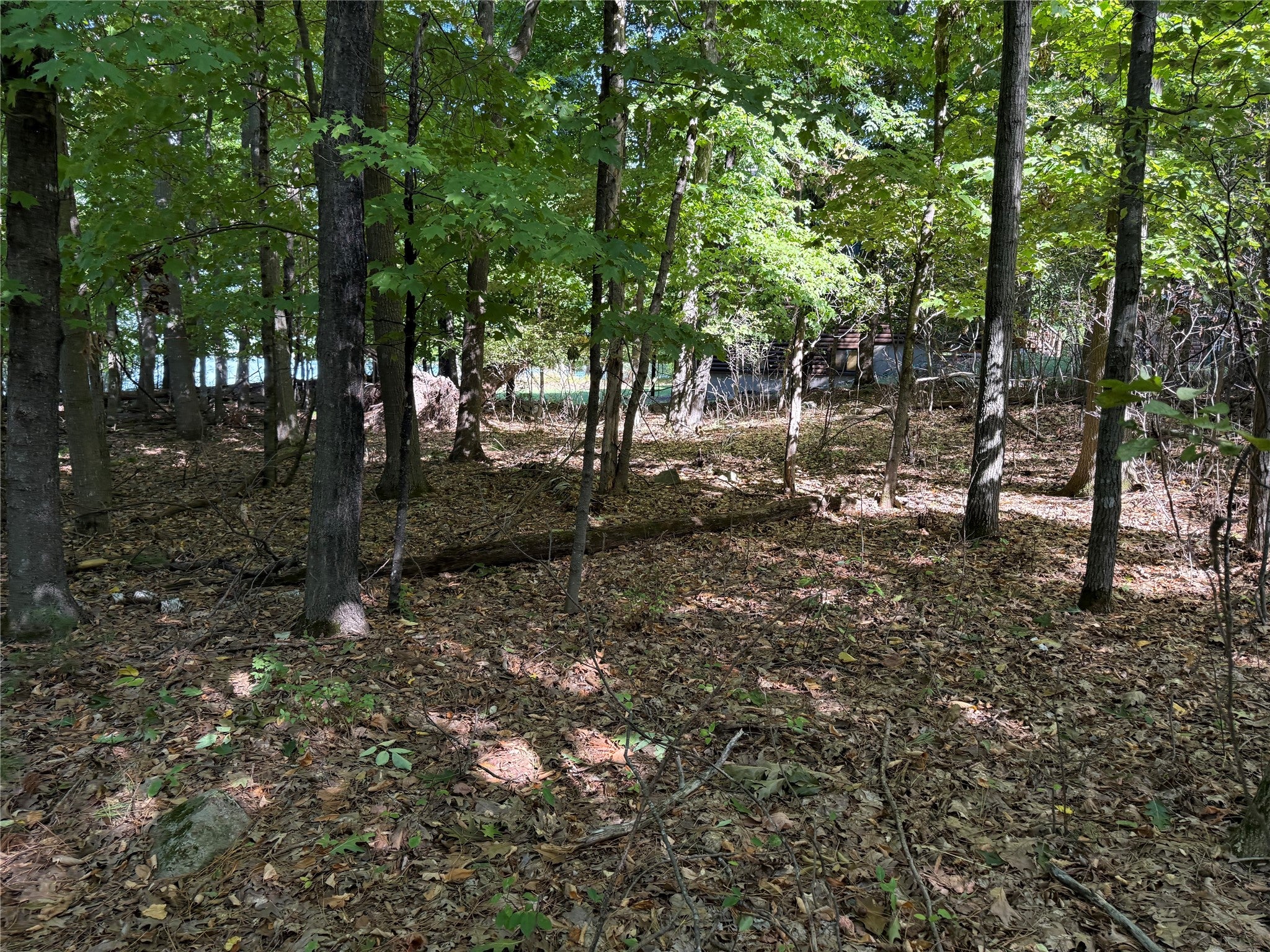 Xxx Rolph's Point Drive Shell Lake, WI 54871 - Photo 22 of 31 Gallery Image 22