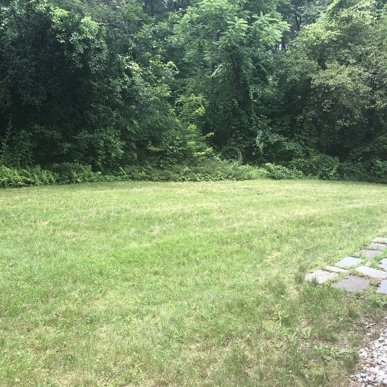 101 Parker Road Lancaster, MA 01523 - Photo 6 of 35 a view of a field with an trees