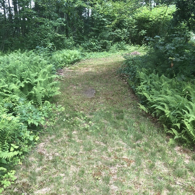 101 Parker Road Lancaster, MA 01523 - Photo 8 of 35 a view of a yard with a tree