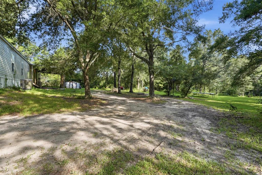 223 Memorial Church Road Longville, LA 70652 - Photo 19 of 24