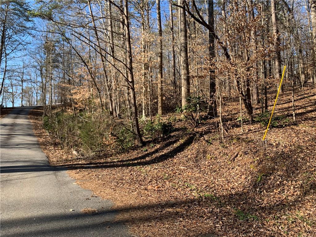 Tract Chestatee Spgs Ridge Dahlonega, GA 30533 - Photo 1 of 1