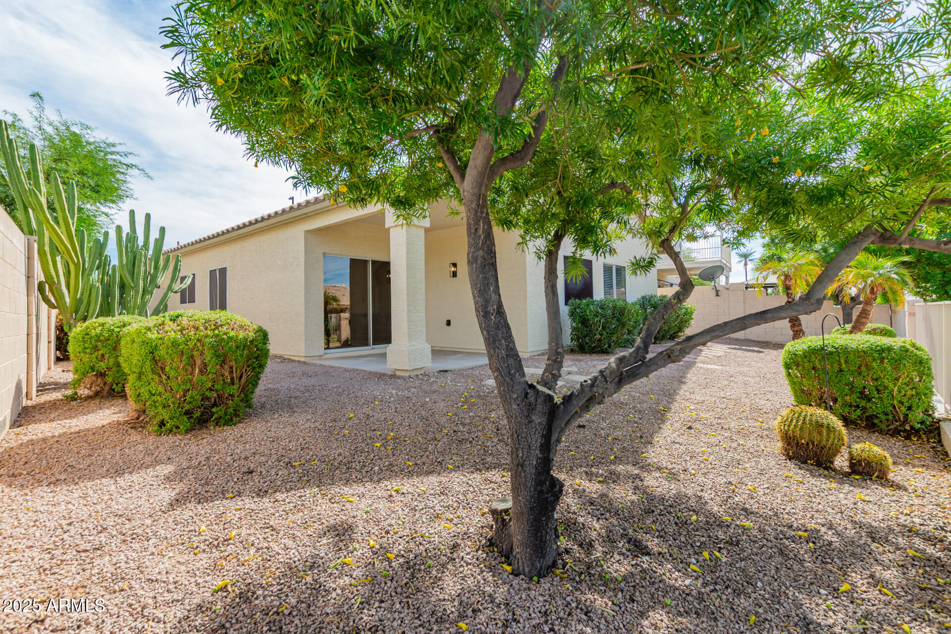786 South Catalina Street Gilbert, AZ 85233 - Photo 29 of 34 a view of a house with a yard and large tree