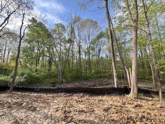 12 Gates Street Roxboro, NC 27573 - Photo 19 of 26 a backyard of a house with lots of green space