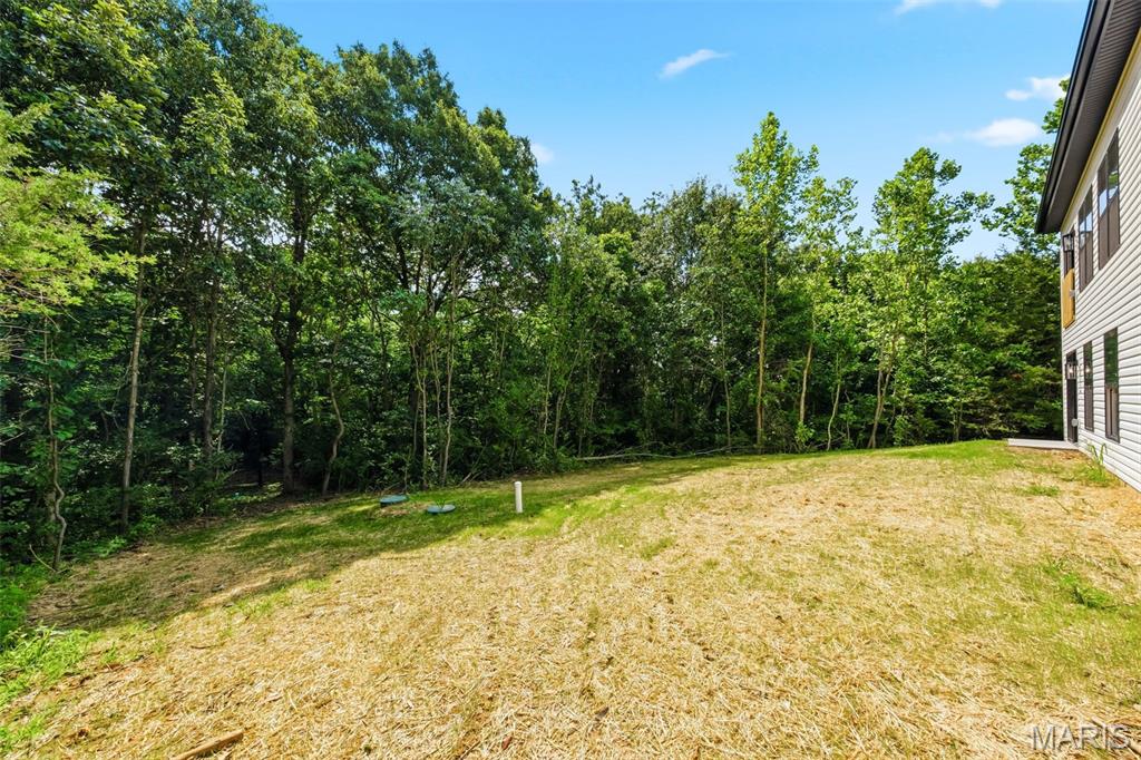 217 Red Mare Road Winfield, MO 63389 - Photo 38 of 59