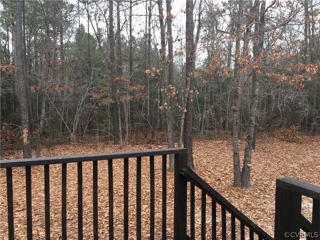 6695 Hair Road Disputanta, VA 23842 - Photo 11 of 11