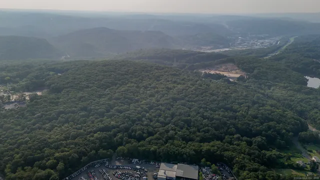a view of a dry yard with a tree