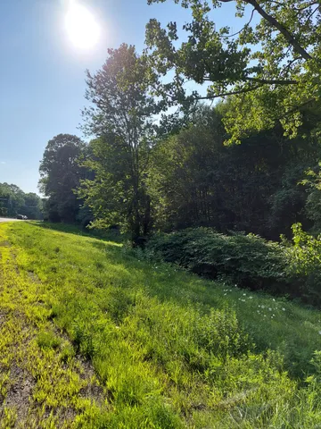 a view of a backyard with a garden
