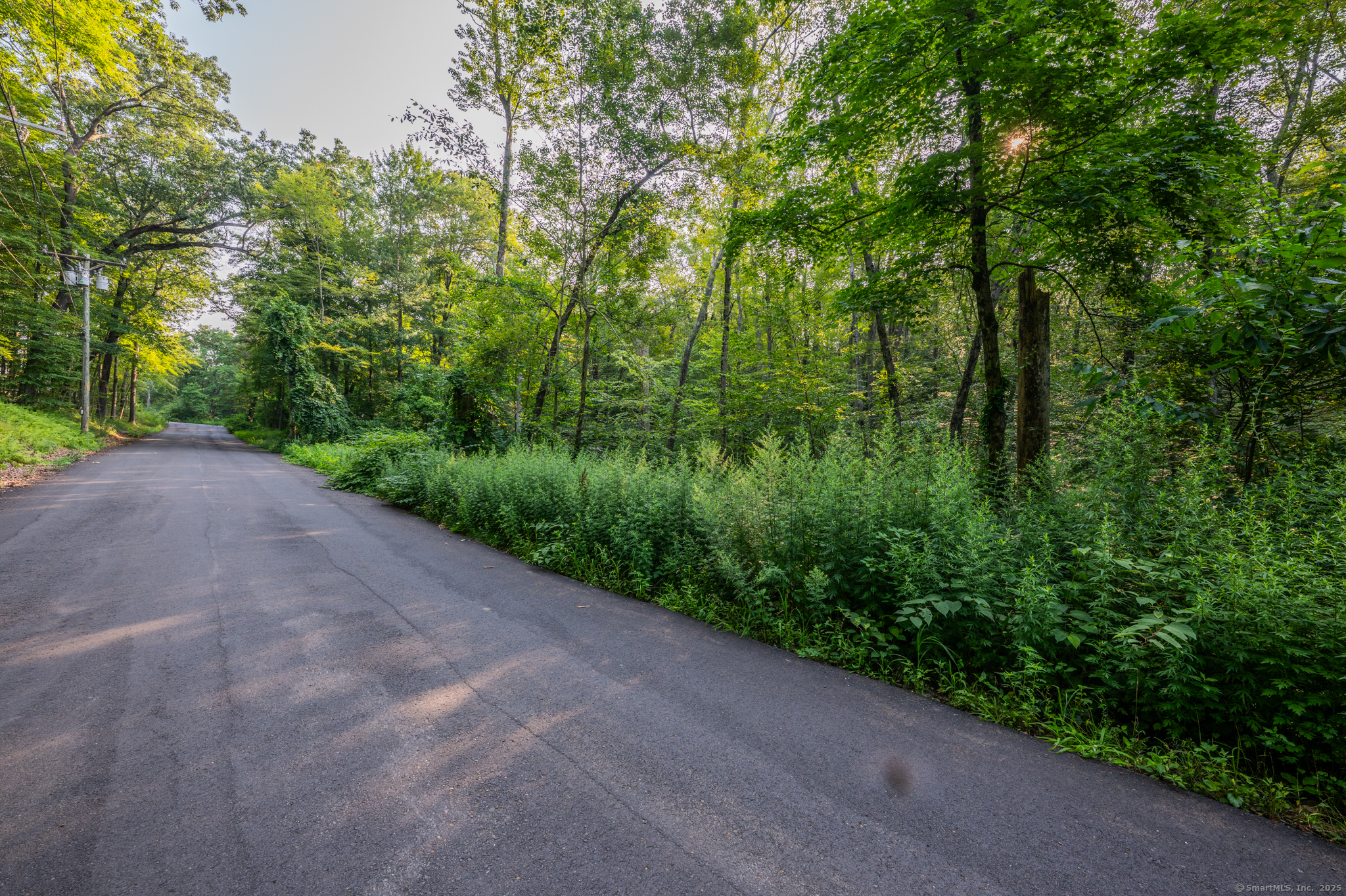 Frost Bridge Road Watertown, CT 06779 - Photo 21 of 25